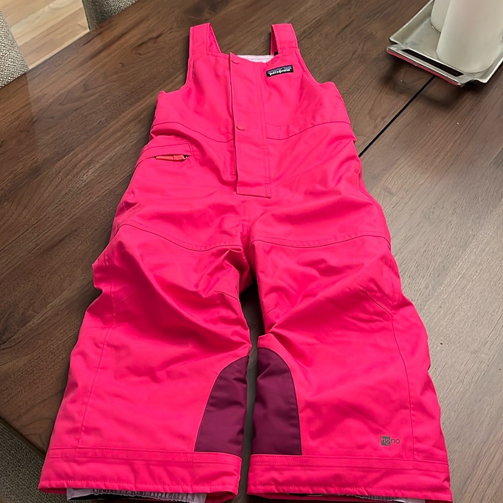 EUC Patagonia toddler snow bib